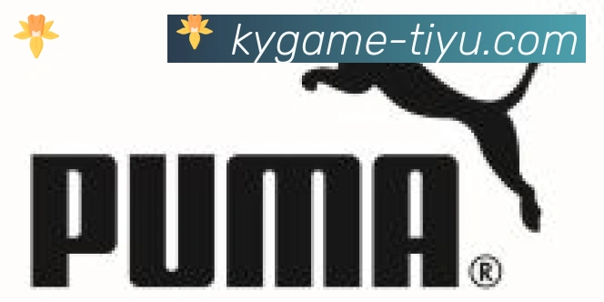 开云APP合作伙伴