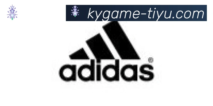 开云APP合作伙伴